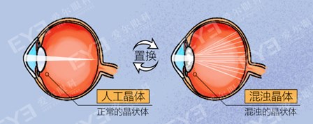 图片.png 图片.png